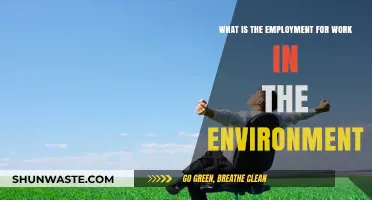 Exploring Green Careers: Employment Opportunities in Environmental Work