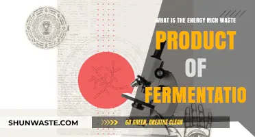 Unlocking Energy: The Surprising Waste Product of Fermentation Explained