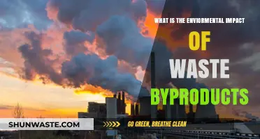 Waste Byproducts: Uncovering Their Hidden Environmental Impact and Consequences