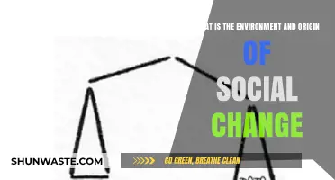 Exploring the Roots and Catalysts of Social Transformation and Change