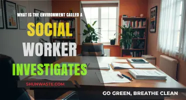 Exploring the Social Worker's Role in Assessing Client Environments