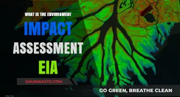 Understanding Environmental Impact Assessment (EIA): Purpose, Process, and Importance