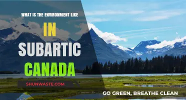 Exploring Subarctic Canada's Unique Climate, Wildlife, and Natural Landscapes