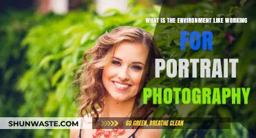 Exploring the Creative and Collaborative Environment of Portrait Photography