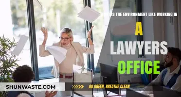 Exploring the Daily Life and Culture in a Law Office Environment