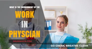Exploring the Physician's Workplace Environment: Challenges, Rewards, and Dynamics