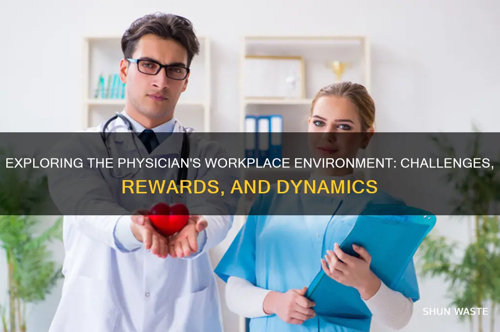 what is the environment of the work in physcian