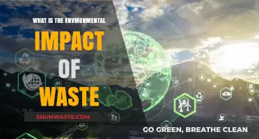 Uncovering the Devastating Environmental Impact of Global Waste Crisis