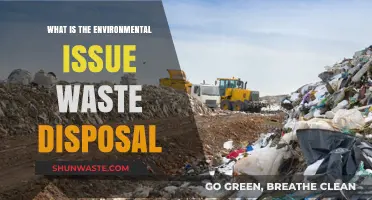 The Growing Concern of Waste Disposal: An Environmental Issue