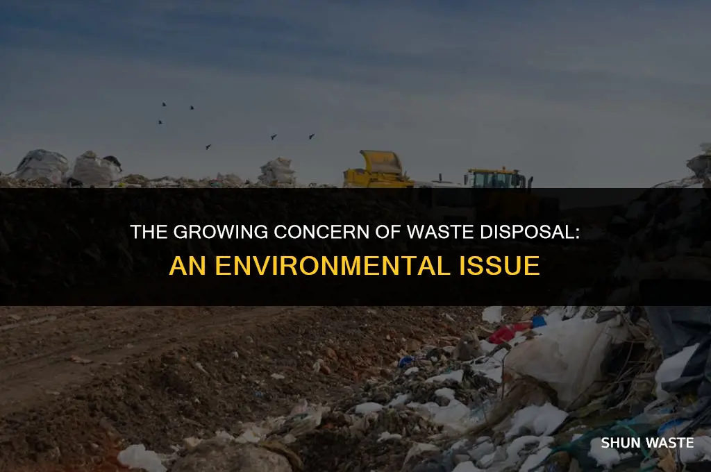 what is the environmental issue waste disposal