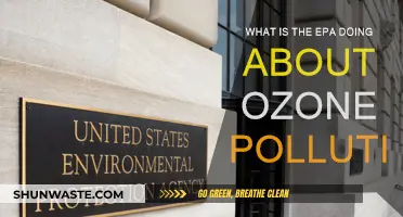 EPA's Fight Against Ozone Pollution