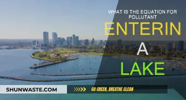 Lake Pollution: Understanding the Equation for Entry