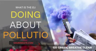 EU's Fight Against Pollution: Strategies and Actions