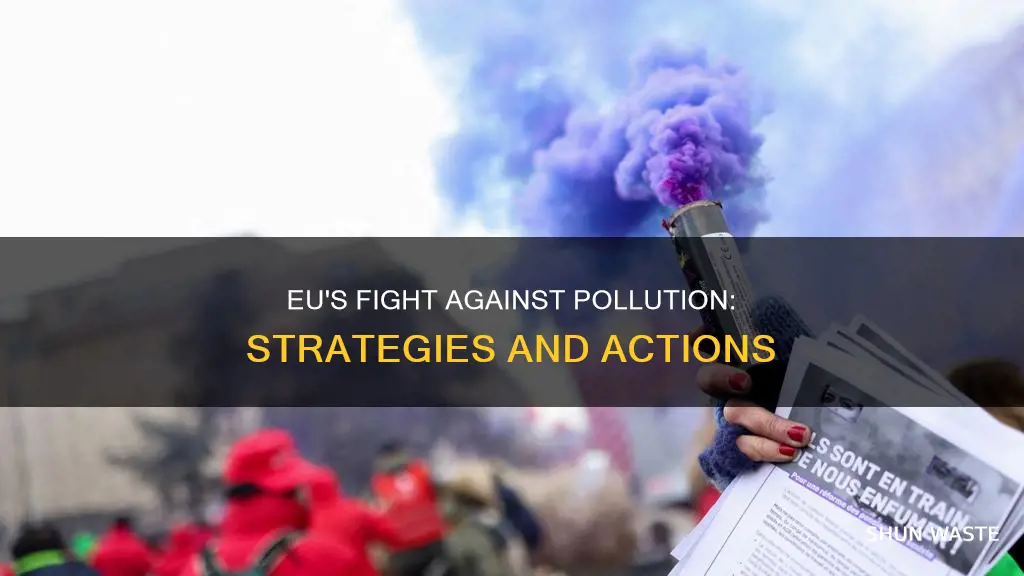 what is the eu doing about pollution