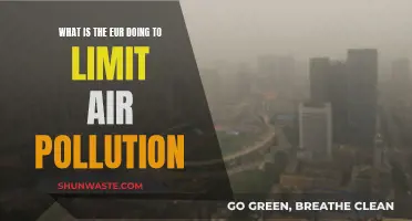 Eur's Fight Against Air Pollution: Strategies and Actions