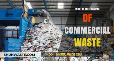 Understanding Commercial Waste: Common Examples and Proper Disposal Methods