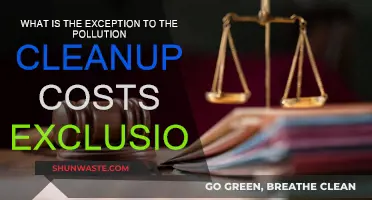 Pollution Cleanup: When Does Insurance Cover the Costs?