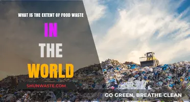 Global Food Waste Crisis: Understanding the Scale and Impact