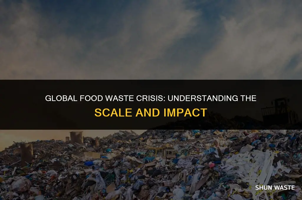 what is the extent of food waste in the world