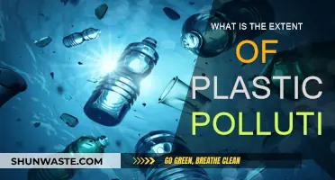 Plastic Pollution: A Global Crisis
