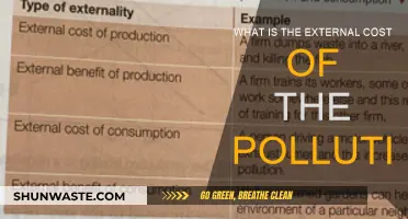 The Dark Side of Pollution: External Costs