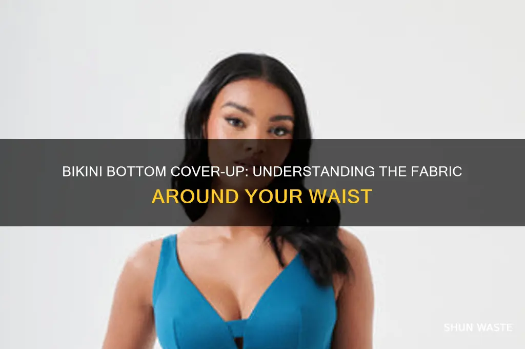 what is the fabric arounf your wastes with bikini