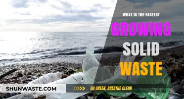 The Alarming Rise of Plastic Waste: Fastest Growing Solid Waste Crisis