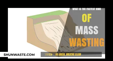 Rapid Mass Wasting: Understanding the Fastest Landslide Types
