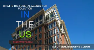 US Pollution Control: Federal Agency's Role