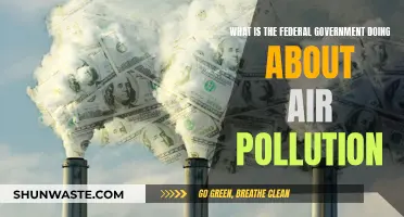 Federal Action Plans to Combat Air Pollution