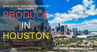 Houston's Pollutants: Where Do They End Up?