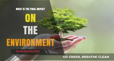 Environmental Impact Unveiled: The Ultimate Consequences of Human Actions