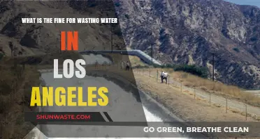 Los Angeles Water Waste Fines: Penalties for Excessive Usage Explained