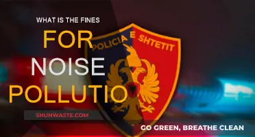 Penalties for Noise Pollution: Understanding the Cost of Loud Noises