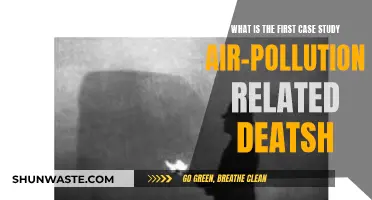 Air Pollution's First Fatality: A Case Study