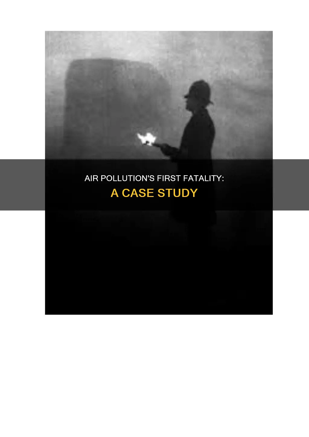 what is the first case study air-pollution related deatsh