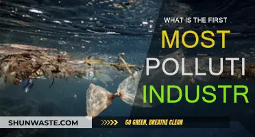 The Most Polluting Industries: Who's the Worst Offender?