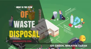 Efficient Waste Disposal: A Step-by-Step Guide to Sustainable Practices