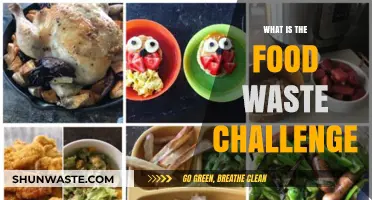 Tackling the Food Waste Challenge: A Sustainable Approach