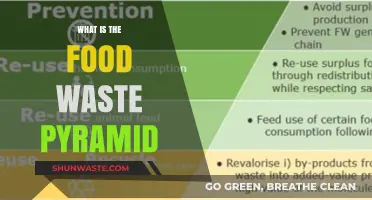 Understanding the Food Waste Pyramid: A Guide to Reducing Waste