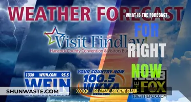 Weather Forecast: Current Conditions and Predictions