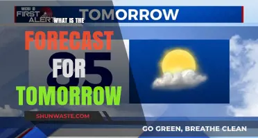 Weather Forecast: What's in Store for Tomorrow?