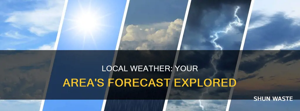what is the forecast in my area