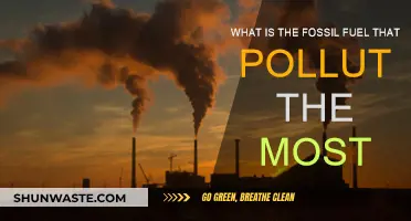 Fossil Fuel's Worst Polluter: Uncovering the Dirtiest Energy Source