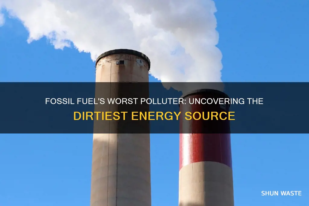 what is the fossil fuel that pollutes the most