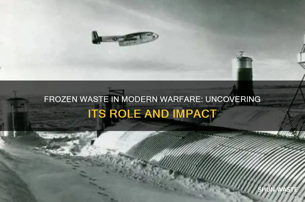 what is the frozen waste in modern warfar3e