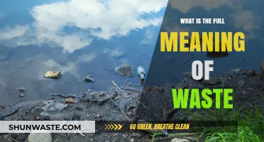 Understanding Waste: Unveiling Its Comprehensive Meaning and Environmental Impact