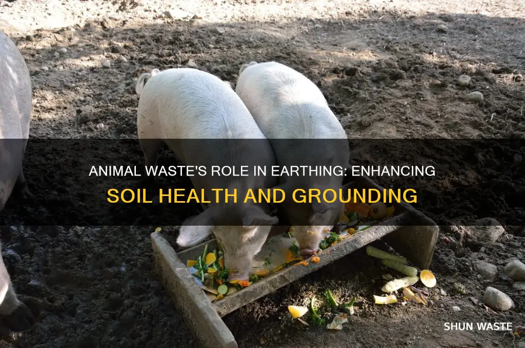what is the function of animal waste in earthing