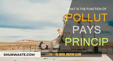 Polluter Pays Principle: Function and Implementation