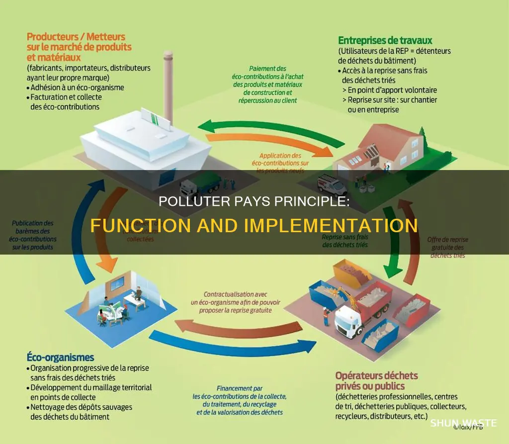 what is the function of polluter pays principle